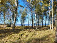 Vårdbiotoper är exempel på öppna områden. NTM-centralen i Södra Österbotten.