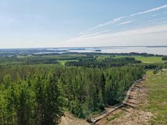 Näkymä Lakeaharjun kuntoportailta metsän yli kohti järveä.