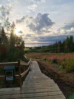 Kuva puisista kuntoportaista johtamassa alas metsäiseen maisemaan, taustalla järvi ja pilvinen taivas.