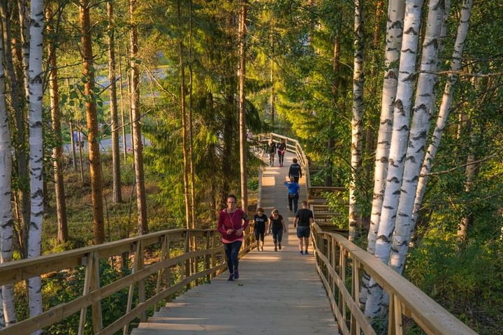 Kuva: Ihmiset kävelevät metsäisessä ympäristössä puuportailla.