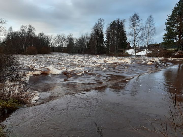 Närpiönjoen Allmänningsforsenin virtaamaa 26.11.2024.