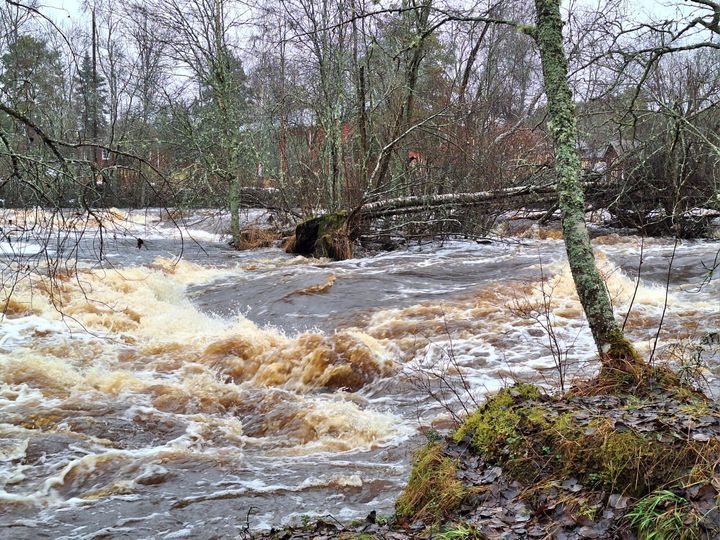 Vesitilannetta Lapväärtin-Isojoen Peruksessa 27.11.2024.