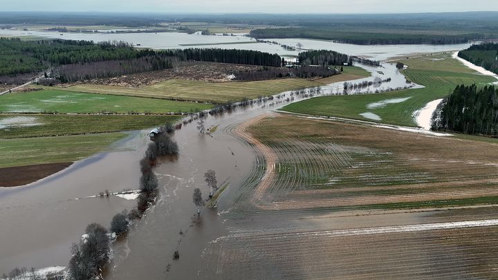 Teuvanjoen tulvaa Puskamarkissa 26.11.2024.