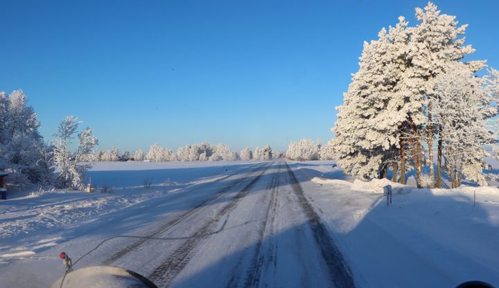 Luminen tie kulkee talvisen maiseman läpi, tien vieressä kuuraiset puut.