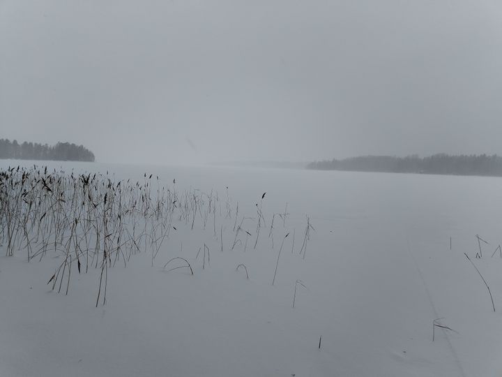 Kuvassa on talvinen maisema Peruveden jäältä. On hyvin tuulista, vasemmalla näkyy ruovikkoa, taustalla etäisiä metsiä. Sekä hanki, että taivas ovat harmaat.