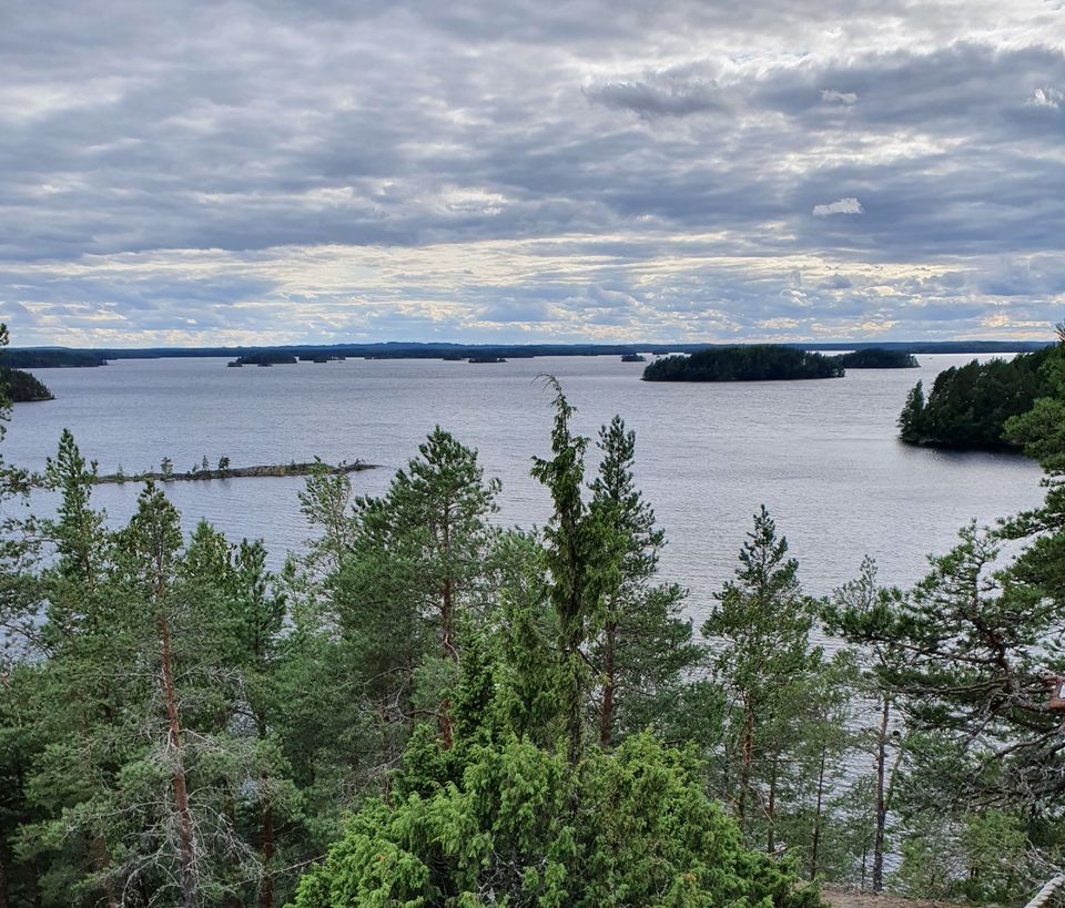 Etelä-Savon ELY-keskus On Kehottanut Järvisydän Oy:tä Lopettamaan ...