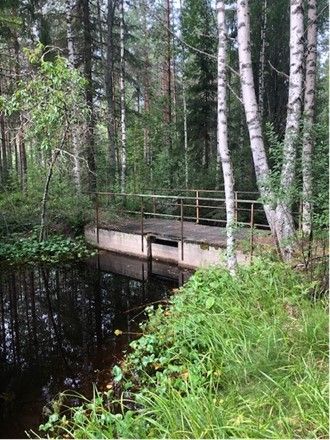 Pöksönlammen säätöpato. Etualalla vesistö ja maastoa. Padon takana pitkiä, vaaleita koivuja