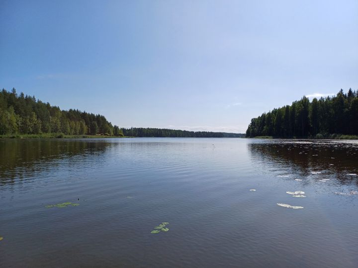 Kesäinen järvimaisema Puruvedeltä.