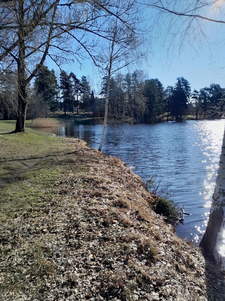 Vasemmalla rantaa ja oikealla Urpolanlammen vettä. Taustalla puustoa. Aurinko kimmeltää lammen pinnasta.