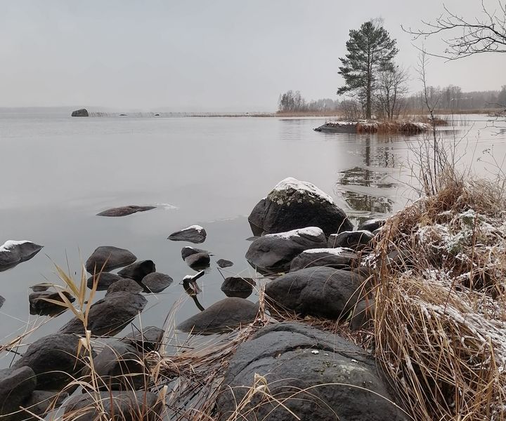 Harmaasävyisessä kuvassa on etualalla kivikkoa, keskellä lokakuinen järvi ja takana yksinäinen puu. Taivas on harmaa.