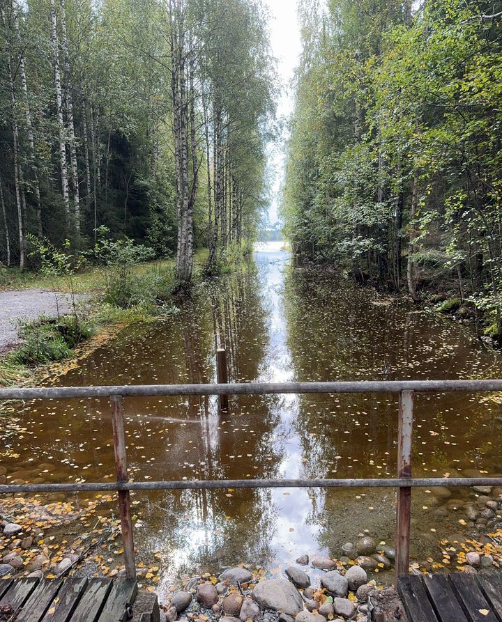 Etualalla on puinen silta, jonka takaa aukeaa pitkulainen vesistö. Vesistön molemmin puolin on korkeita puita.