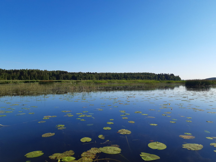 Vesijärven Teräväisten maisemaa.