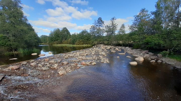 Kivinen jokiuoma, ympärillä vehreää metsää ja sininen taivas.