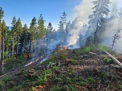 Hakkuuaukealla metsässä liekkejä ja savua. Yksi ihminen vartioi tulta.