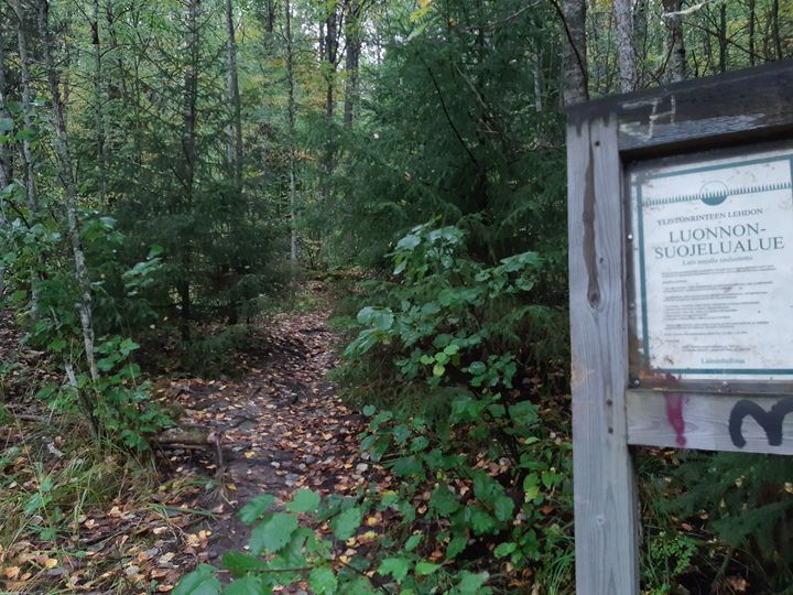 Kuva Ylistönrinteen lehdon luonnonsuojelualueesta, jossa metsätie johtaa metsään. Etualalla kyltissä lukee alueen nimi ja suojelumääräykset.