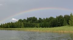 Järven rantaa, jossa kasvaa kaislikkoa, taustalla metsää ja taivaalla sateenkaari.