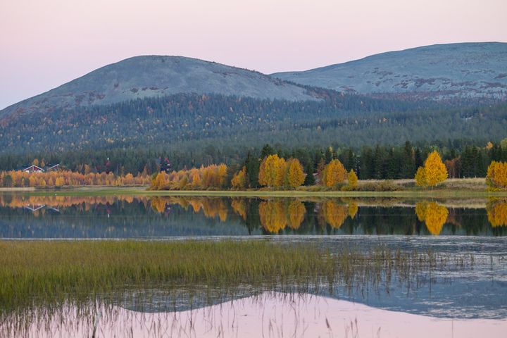 Syksyinen järvimaisema, jossa puut heijastuvat veden pinnasta ja taustalla näkyy metsäinen mäki.