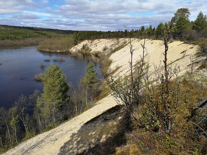 Kuva Inarijoen varrelta (Kuva: Lapin ELY-keskus)