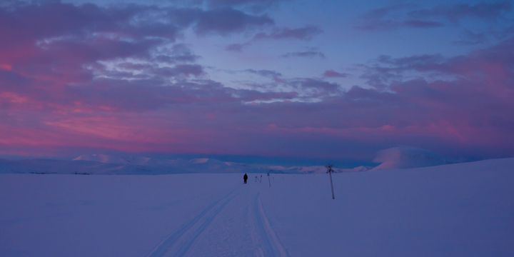 Talvinen maisema auringonlaskun aikaan Lapissa, hiihtolatu kulkee lumisten peltojen halki.