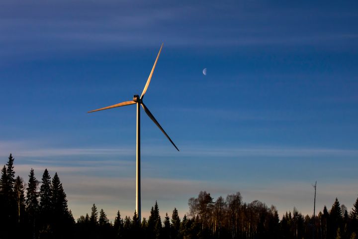 Tuulivoimala metsän yllä sinisen taivaan alla, puolikuu näkyvissä.