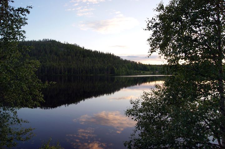järvi iltavalossa, metsää ympärillä