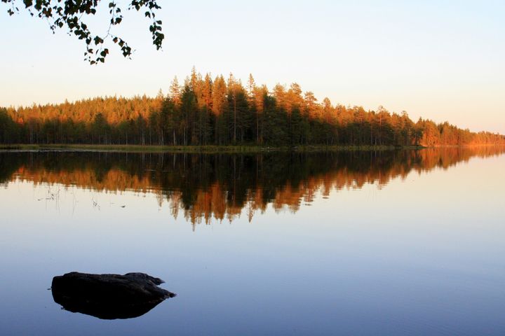 Kuvassa on järvimaisema.