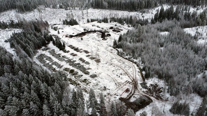 metsähakkuualueella rakennustyöt