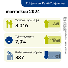 Infografiikkakuva marraskuun työllisyystilanteesta