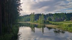 Iiksenjoki 11.6.2024. Kuva: Ninni Rissanen / Pohjois-Karjalan ELY-keskus.