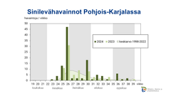 Kuvassa kaavio kansalaisten ilmoittamista sinilevähavainnoista Järvi-meriwiki-palvelussa vuosina 2023 ja 2024 sekä vuosien 1998–2022 keskiarvo Pohjois-Karjalassa.