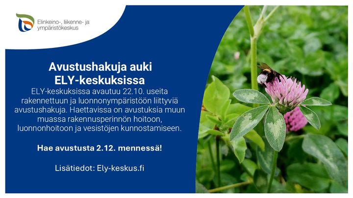 Erilaisia avustuksia haussa 22.10.–2.12.2024. Kuva: Saara Hämäläinen / Pohjois-Karjalan ELY-keskus.