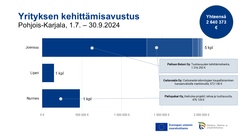 Pohjois-Karjalaan 1.7. - 30.9.2024 myönnetty yrityksen kehittämisavustus kunnittain. Kuva: Ilkka Elo / Pohjois-Karjalan ELY-keskus.