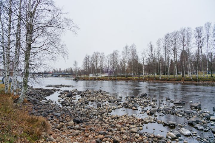 Orivesi-Pyhäselän vedenkorkeus oli 13.11.2024 noin 77 cm matalammalla kuin vuosi sitten. Kuva: Jon Norppa / Pohjois-Karjalan ELY-keskus.