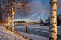 Pielisjoen yläasteikon vedenkorkeus oli 12.12.2024 noin 110 cm matalammalla kuin vuosi sitten. Kuva: Jon Norppa / Pohjois-Karjalan ELY-keskus.fi.