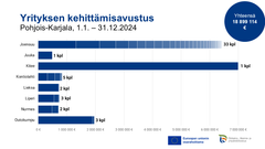 Pohjois-Karjalaan vuonna 2024 myönnetty yrityksen kehittämisavustus kunnittain. Kuva: Ilkka Elo / Pohjois-Karjalan ELY-keskus.