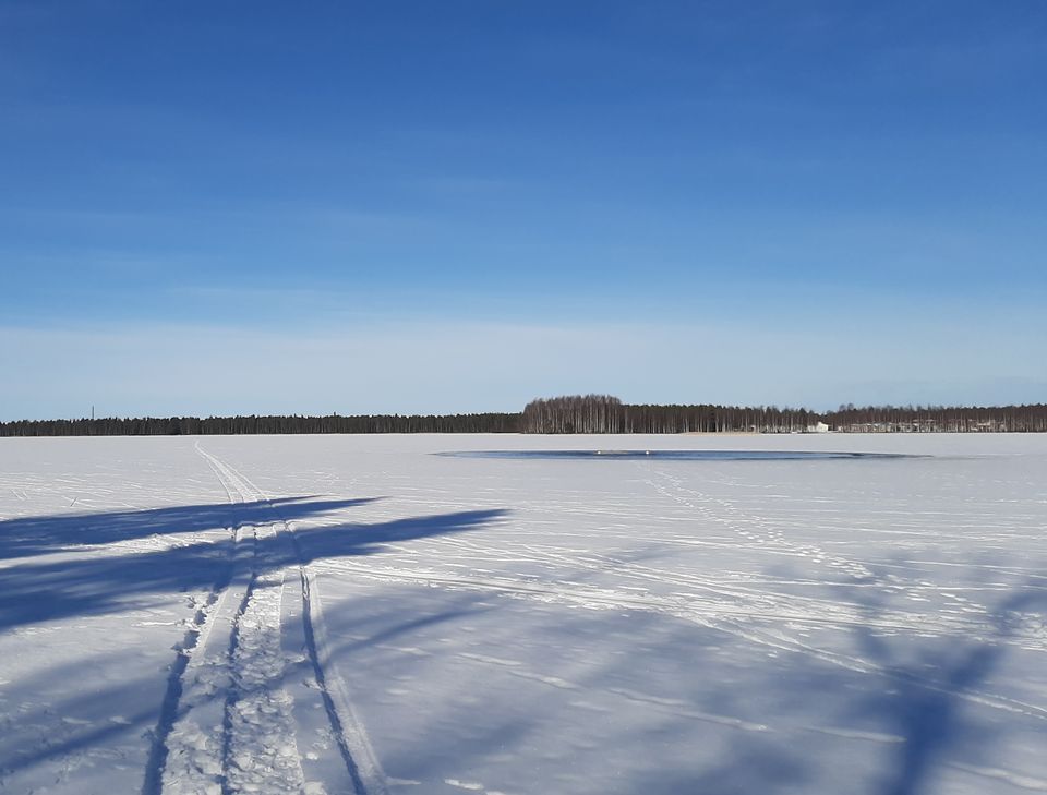 Pohjois-Pohjanmaan Järvien Happitilanne Heikoin Rehevissä Ja Matalissa ...