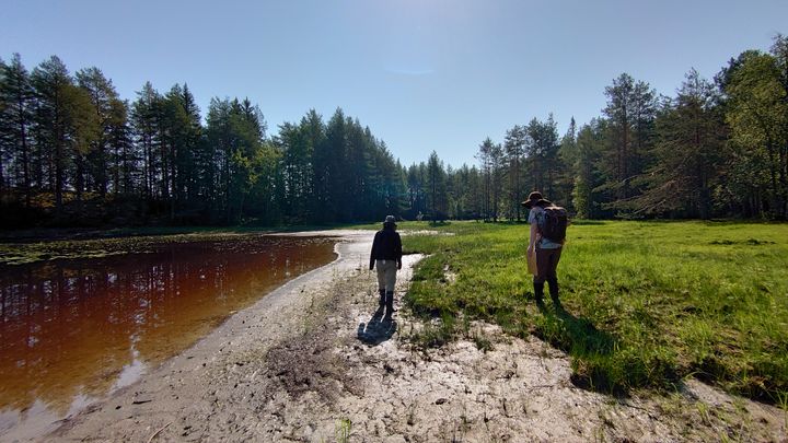 Kaksi inventoijaa kävelee rantaniittykuvassa kamerasta poispäin.