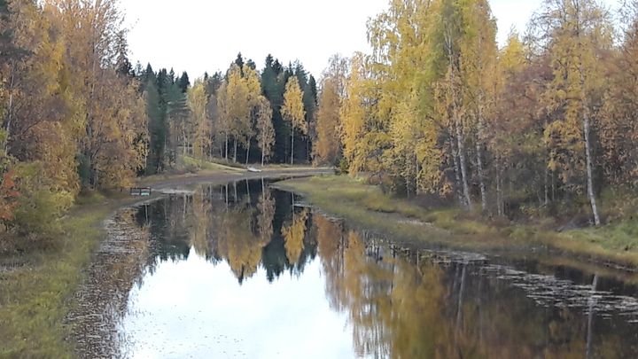 Syksyinen joenvarsikuvituskuva.