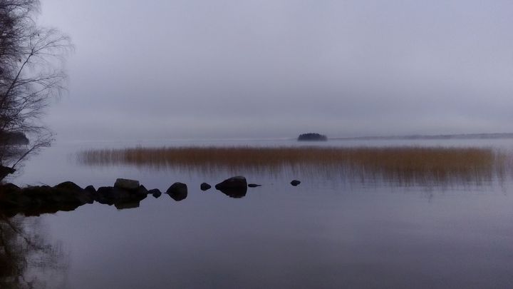 Usvainen järvimaisema