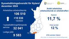 Sysselsättningsöversikt för Nyland 12/2024