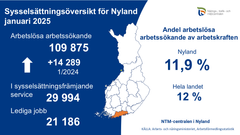 Sysselsättningsöversikten för Nyland 1/2025