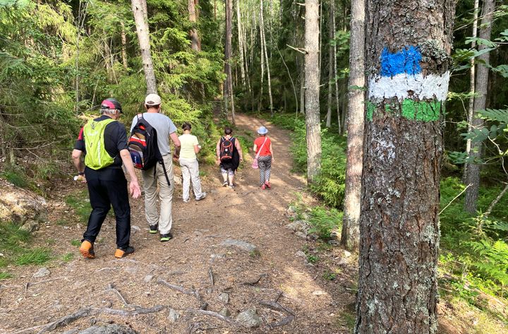 Ihmiset kulkevat luontopolulla. Etualalla puu, jonka rungossa on sinivalkovihreä Tammireitin opaste.