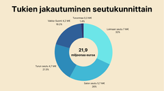 Piirakkakaavio tukien jakautumisesta seutukunnittain.