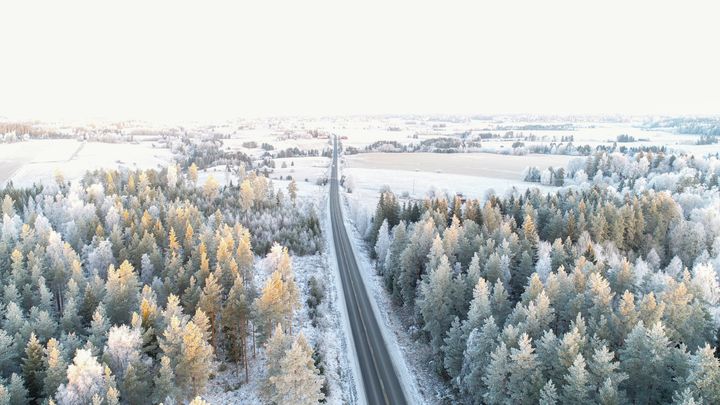 Talvinen tie ja metsää