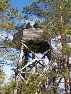 Kaksi ihmistä seisoo Oravivuoren mittauspisteen näköalatornissa metsän keskellä.