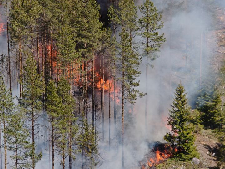 FireMan-tutkimushankkeessa drooneja, konenäköä ja tekoälyä koulutetaan pelastajien avuksi torjumaan paloja sekä vähentämään niiden aiheuttamia tuhoja.