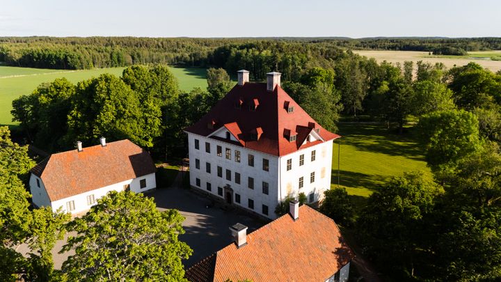 Ilmakuva Louhisaaren kartanolinnasta, jota ympäröi vehreä luonto.