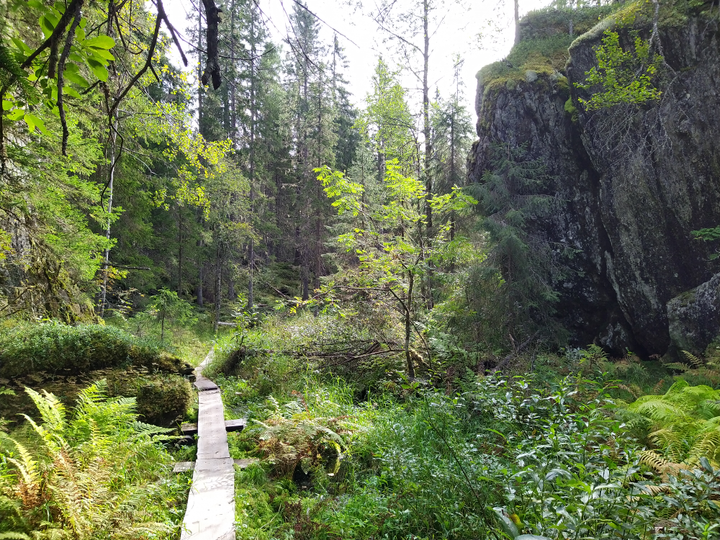 Kallioluonnossa on tarumaista hohdetta. Kuva Rautavaaralta.