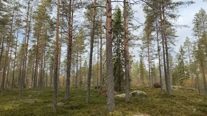 Läheskään kaikki tilat eivät mene tällä hetkellä kaupaksi.