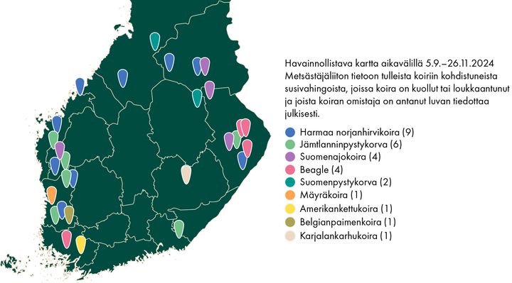 Havainnollistava kartta 5.9.-26.11.2024 Metsästäjäliiton tietoon tulleista koiriin kohdistuneista susivahingoista.